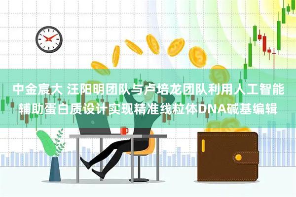 中金宸大 汪阳明团队与卢培龙团队利用人工智能辅助蛋白质设计实现精准线粒体DNA碱基编辑