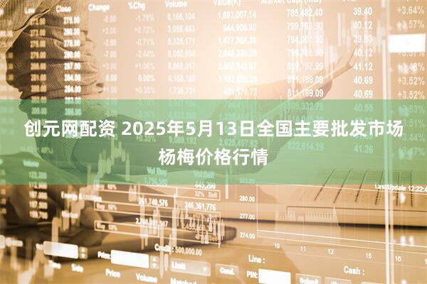 创元网配资 2025年5月13日全国主要批发市场杨梅价格行情