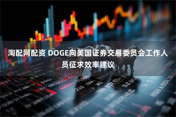 淘配网配资 DOGE向美国证券交易委员会工作人员征求效率建议